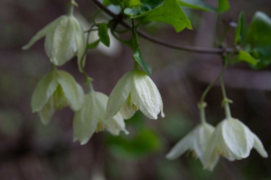 Barbara Gabay/istockphoto.com