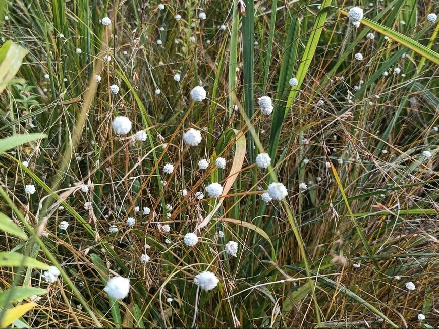 出所：@365nitiyasou