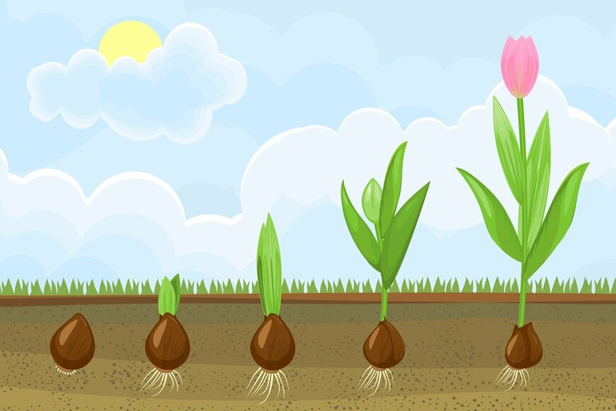 mariaflaya/istockphoto.com