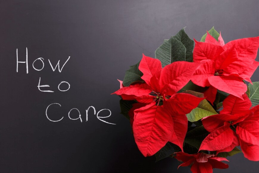 Andrey Bukreev/istockphoto.com