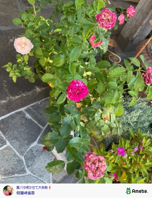 出所：假屋崎省吾のAmebaブログ 参照日：2025年9月4日