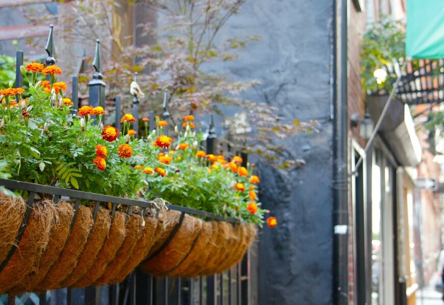 meagankirk/shutterstock.com