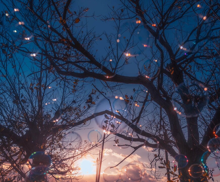 出所：@pomu_iyashi