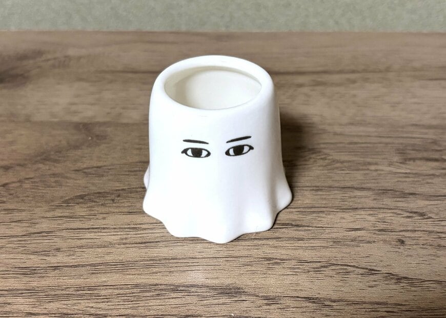 筆者撮影（セリア、フリーカップ エジプトファン）