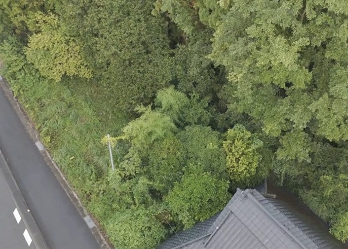 「自宅庭きれいにしよ」250万円で購入した古民家の〈荒れ果てたジャングル〉→開放的な〈癒しのガーデン〉に大変身！反響続々