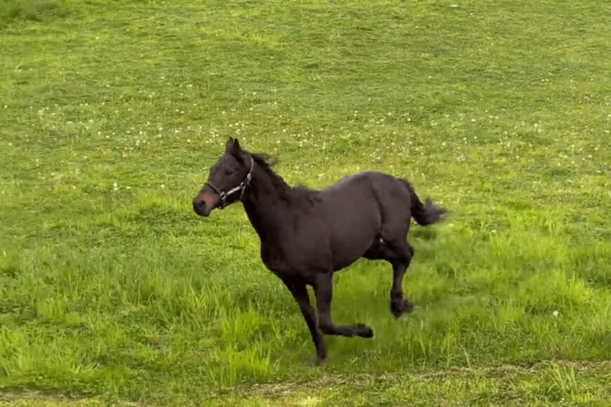 出所：Yogiboヴェルサイユリゾートファーム