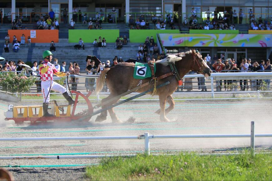 出所：帯広競馬場