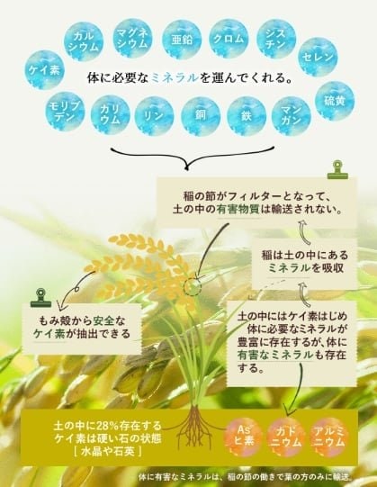 出所：F.I.S株式会社提供