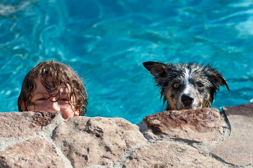 randymir/istockphoto.com