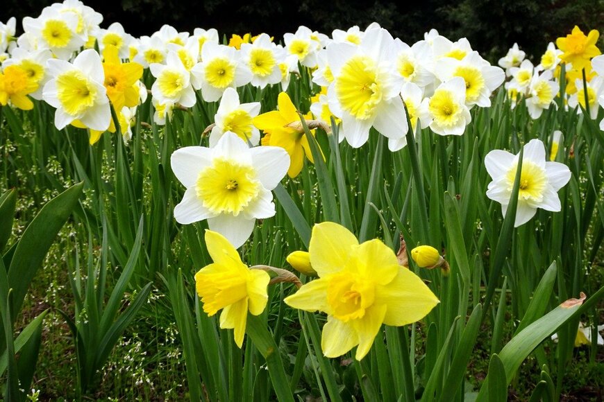 lukasz1981/istockphoto.com