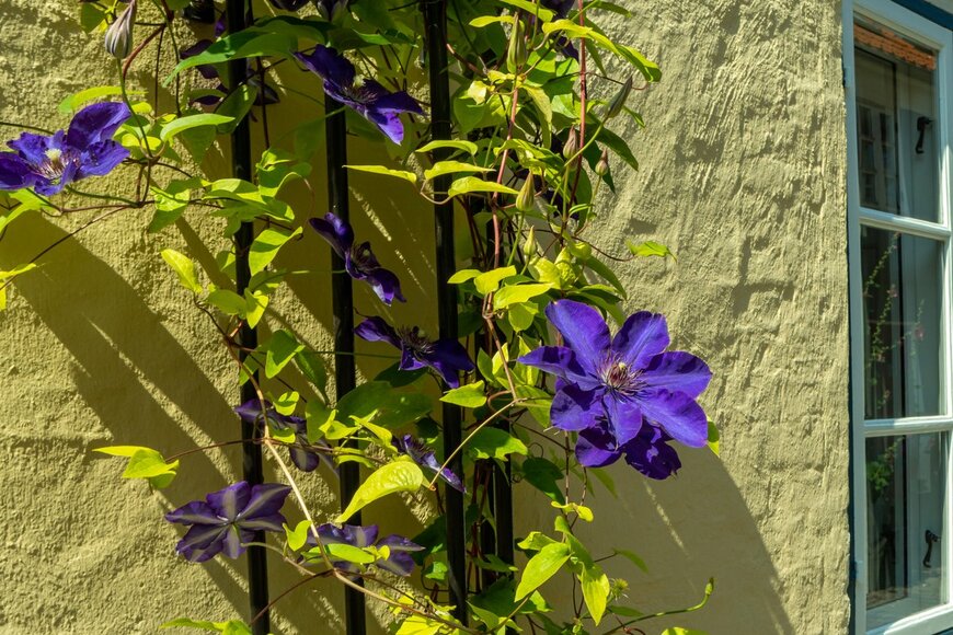 DVY714/Shutterstock.com