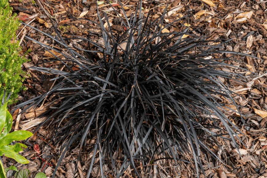 TonyBaggett/shutterstock.com