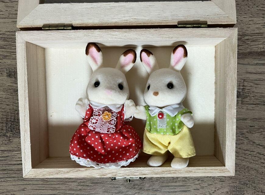 ダイソー、ウッドボックス(クリア蓋付、ロック付)画像