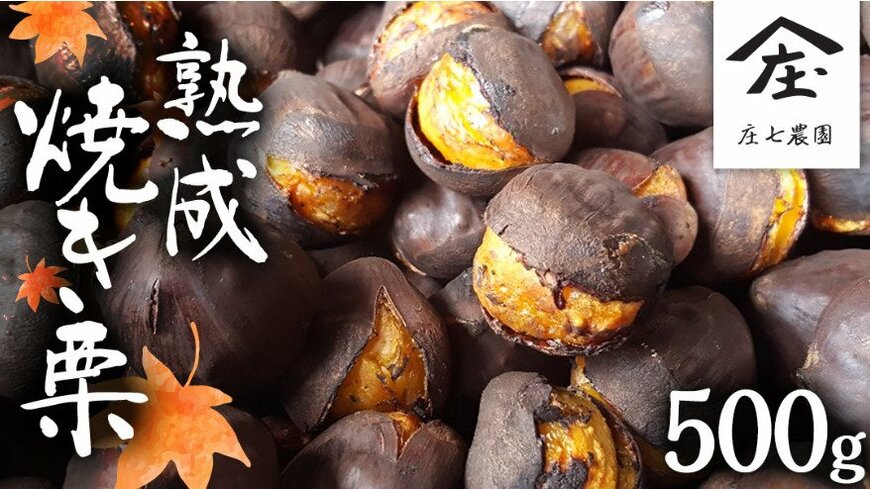 <u><a href="https://www.furusato-tax.jp/product/detail/08235/5467270" target="_blank">ふるさとチョイス 庄七農園 限定 熟成 焼き栗 500g </a></u>