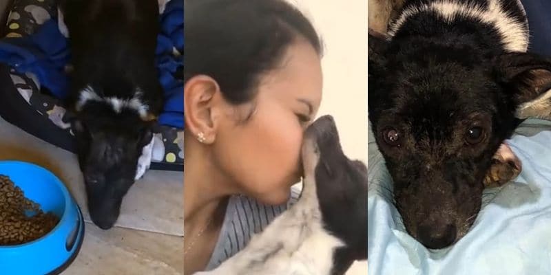 回復し、家族に甘えるヴァレンティーナ