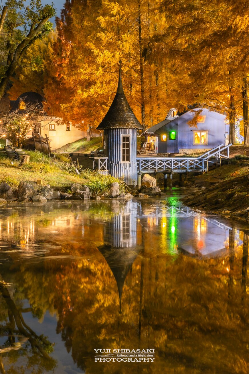 美しい紅葉風景