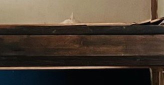 猫が喜ぶ謎の空間