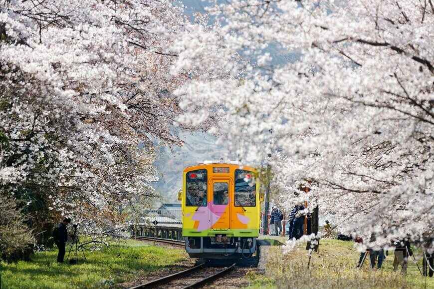 岐阜県大垣市の樽見鉄道