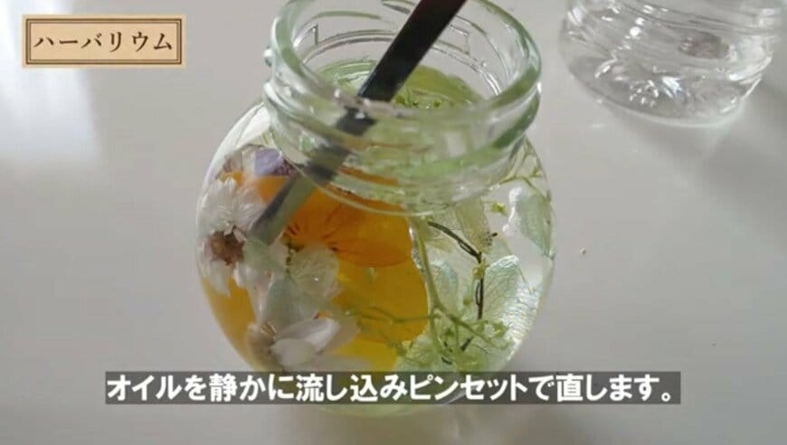 @チェリーガーデン