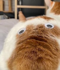 【発見】猫ちゃんのしっぽに新しい生き物！？目玉シールをつけたら“別の生き物”に見えると話題に