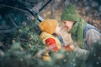 コロナ禍で増える「車中泊」…快適に過ごすには？便利グッズ7選