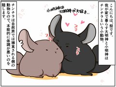 「いつもと違う」は異変のサイン。気づきにくいチンチラの体調不良に気づいたら【チンチライフ22話】