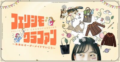 株式会社フェリシモ、世界級の大きさ！？　メインクーンのもふもふダイカット抱きぐるみ商品画像