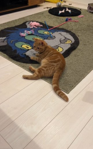 投稿動画のワンシーン