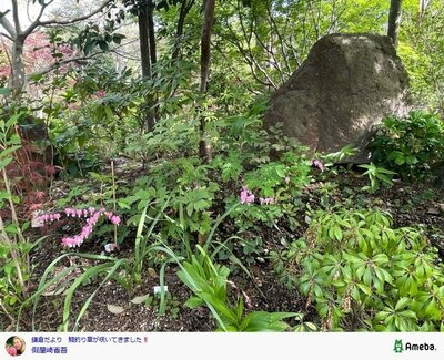 假屋崎省吾の公式ブログ投稿