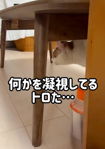 投稿の画像