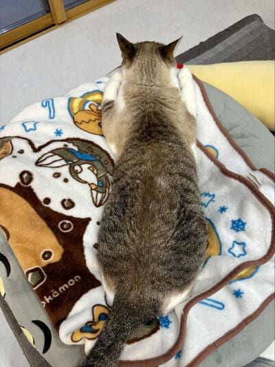 投稿の画像