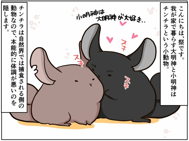 「いつもと違う」は異変のサイン。気づきにくいチンチラの体調不良に気づいたら【チンチライフ22話】