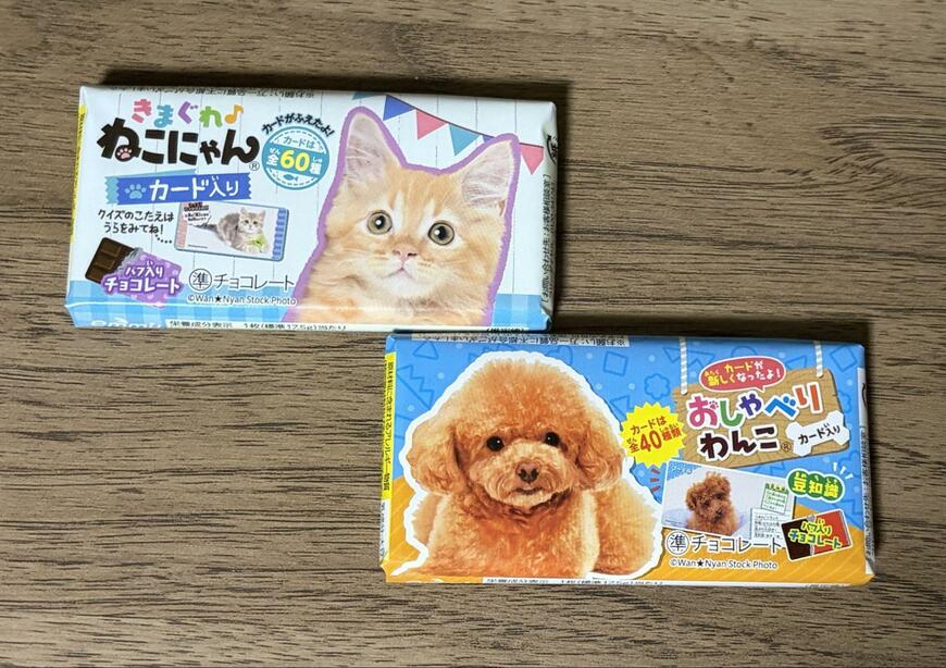 筆者撮影（ダイソー、きまぐれねこにゃん・おしゃべりわんこ）