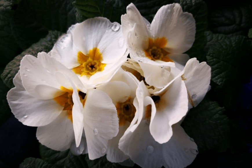 Burning Bright/istockphoto.com