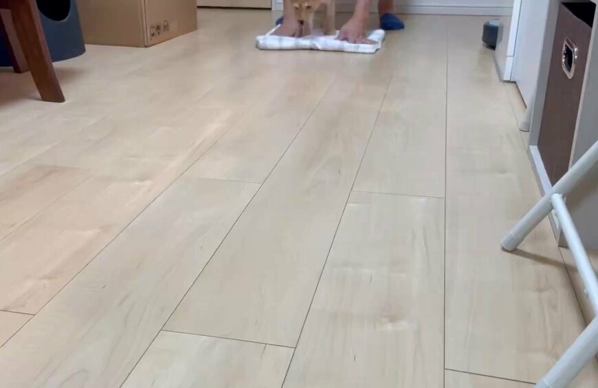 出所：＠Teagle_Noir