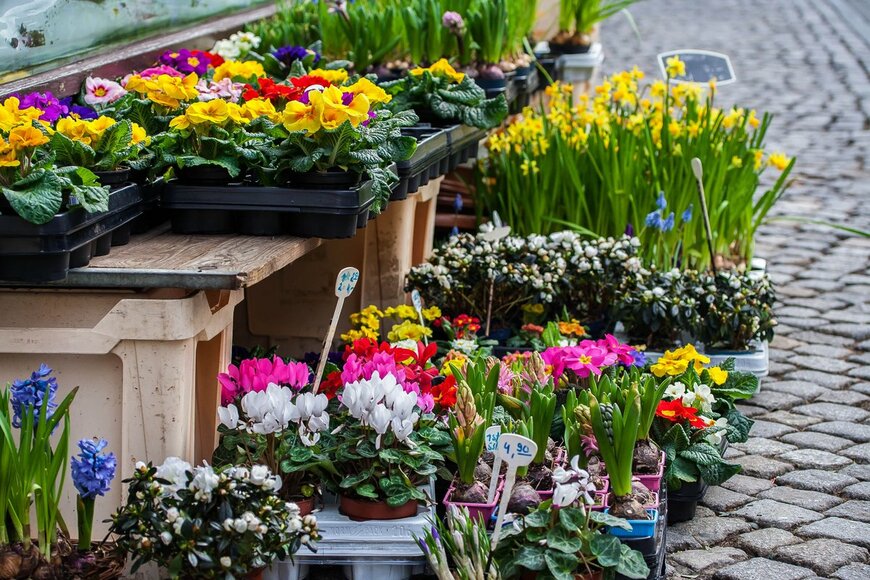 DS_93/Shutterstock.com