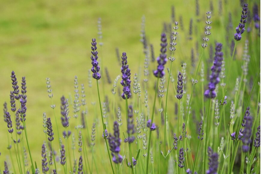 undefined undefined/istockphoto.com