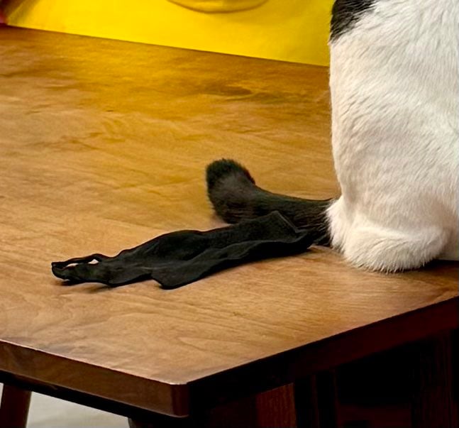 出所：@omochi_nam01