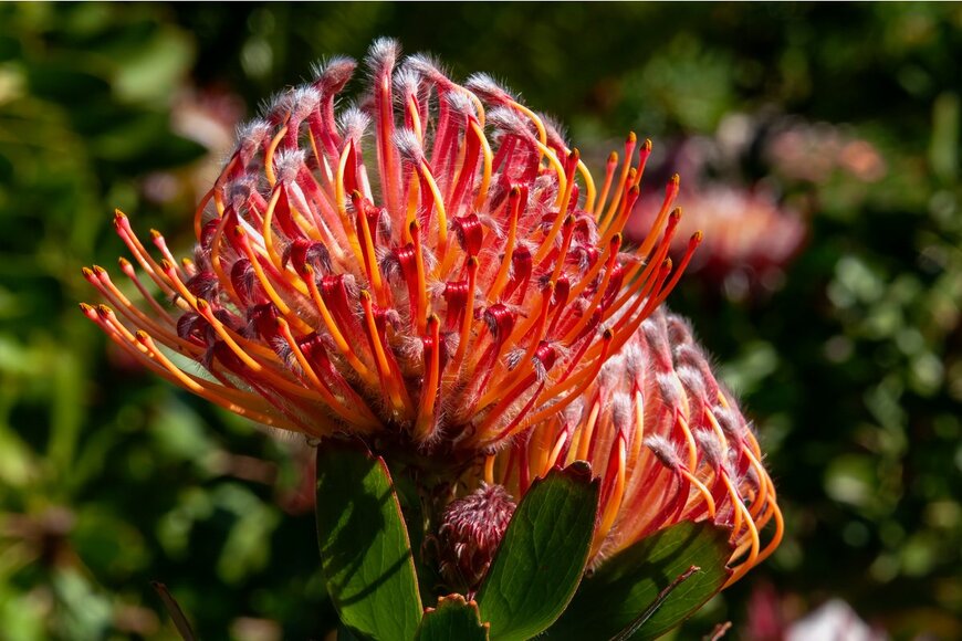 demamiel62/Shutterstock.com