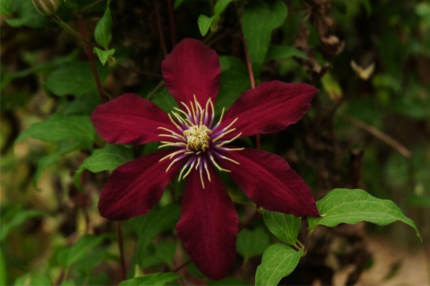 ACMPhotos/istockphoto.com