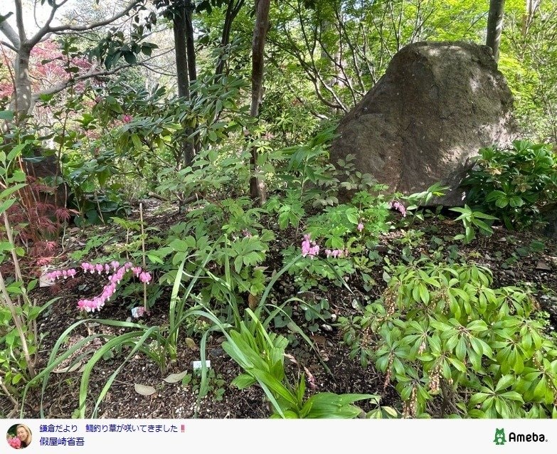 出所：假屋崎省吾の公式ブログ　参照日：2026年4月15日