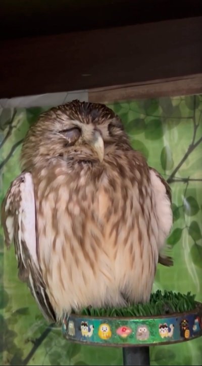 出所：@cr8673.hiro