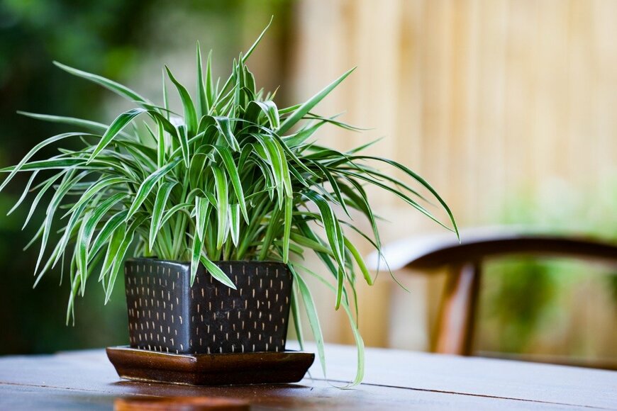 Adkasai/istockphoto.com