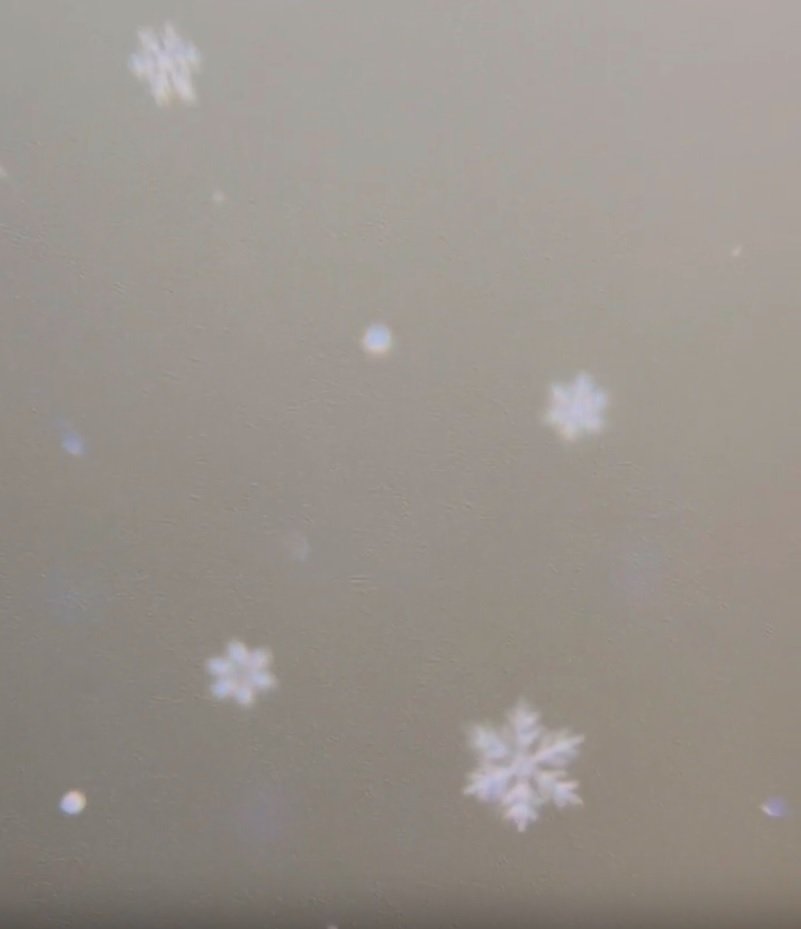 出所：パルグループ公式ファッション通販サイト 3COINS 【WEB限定】天井ライト