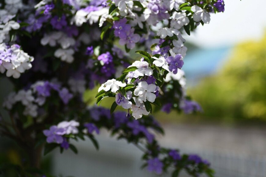 undefined undefined/istockphoto.com