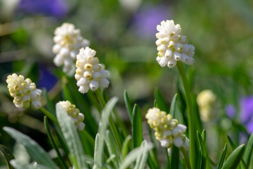 Iva Vagnerova/istockphoto.com