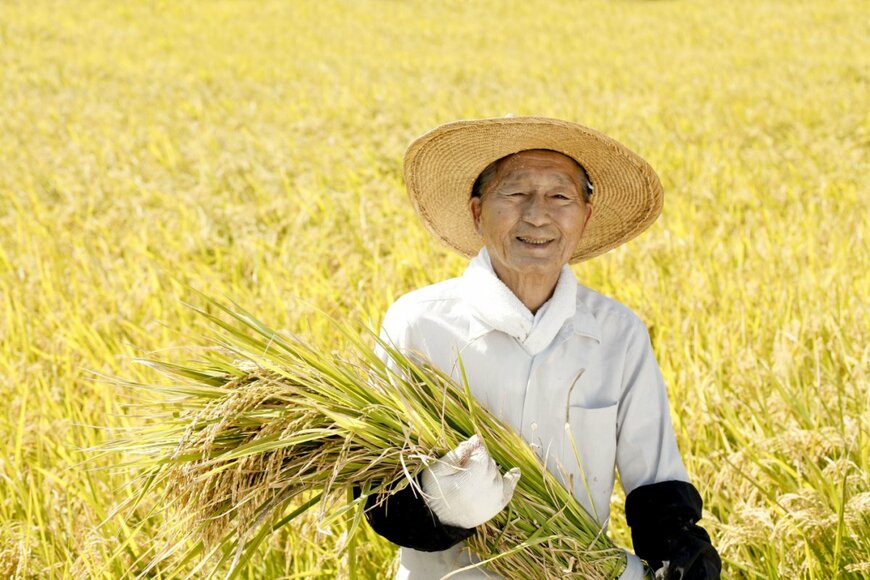 70歳代「おひとりさま」の貯蓄額は平均1433万円。では厚生年金と国民年金は月額いくらか