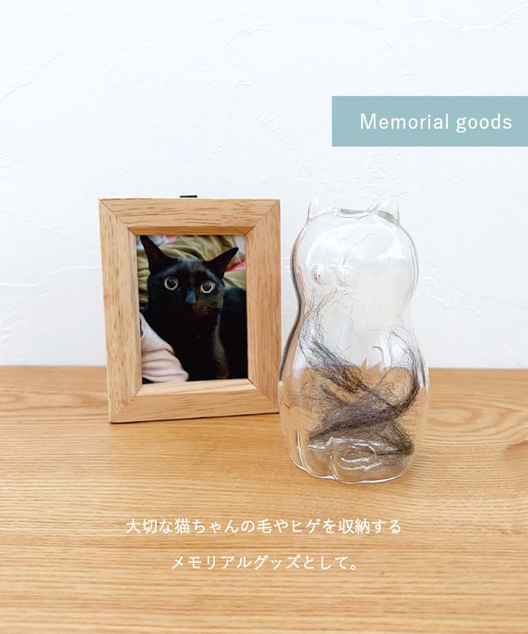 出所：Bleu Bleuet（ブルーブルーエ）公式サイト　グラスキャットベース