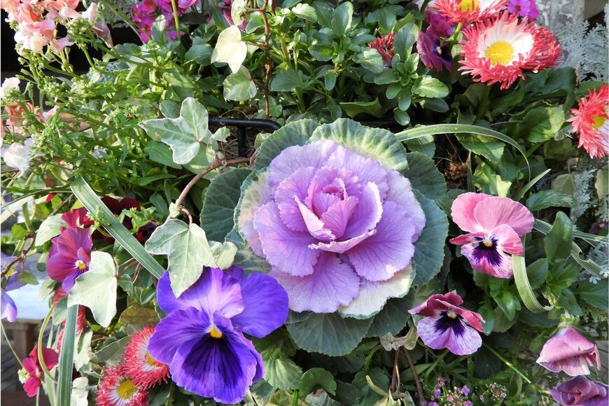 Chiemi Kumitani/istockphoto.com