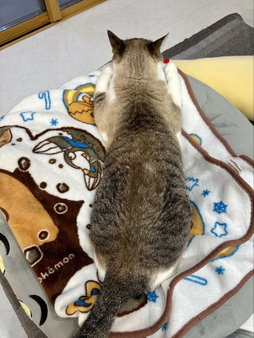 出所：@omochi_nam01